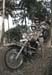 CIMG5794