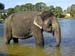 CIMG6674
