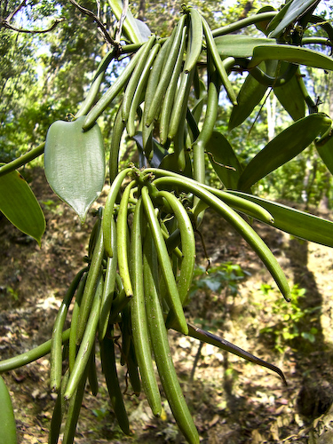 CIMG6368