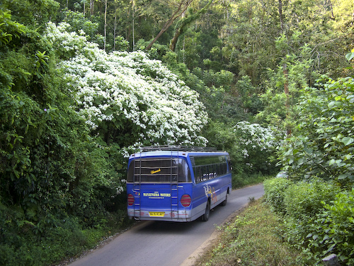 CIMG6621