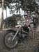 CIMG5794