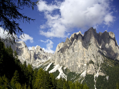 Rosengarten10_CIMG3573