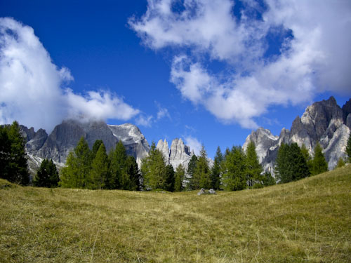 Rosengarten10_CIMG3580