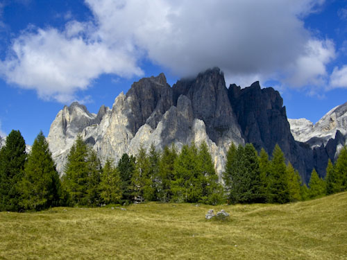 Rosengarten10_CIMG3582