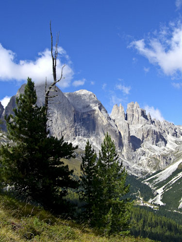 Rosengarten10_CIMG3590