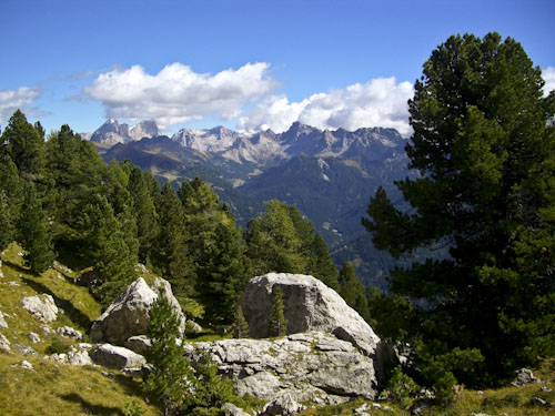 Rosengarten10_CIMG3593