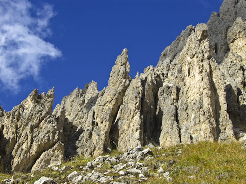 Rosengarten10_CIMG3606