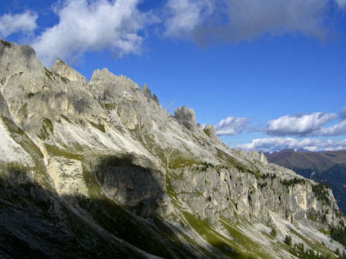 Rosengarten10_CIMG3617