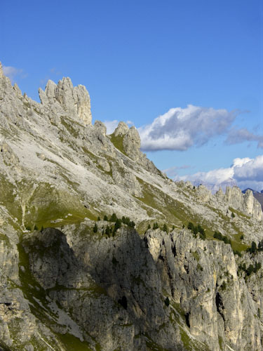 Rosengarten10_CIMG3618