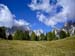 Rosengarten10_CIMG3580