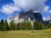 Rosengarten10_CIMG3582