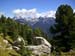 Rosengarten10_CIMG3593