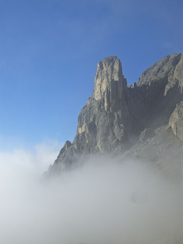 Rosengarten10_CIMG3634