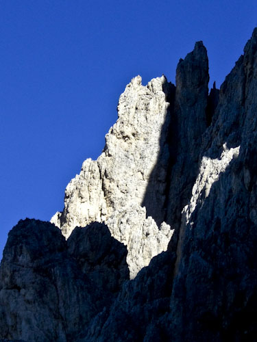 Rosengarten10_CIMG3667