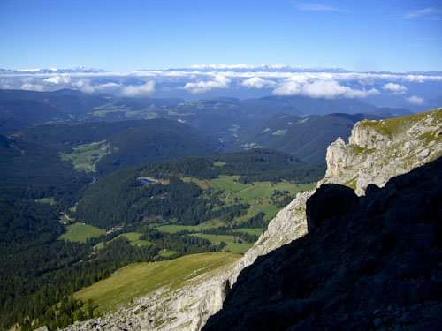 Rosengarten10_CIMG3669