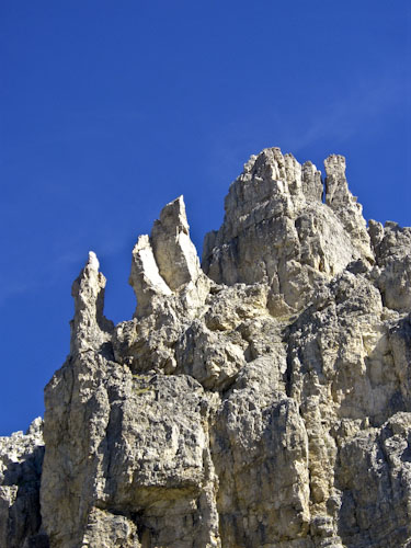 Rosengarten10_CIMG3685