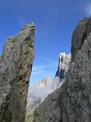 Rosengarten10_CIMG3691