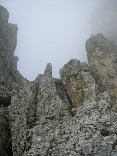 Rosengarten10_CIMG3708