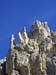 Rosengarten10_CIMG3685
