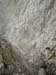 Rosengarten10_CIMG3705