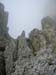 Rosengarten10_CIMG3708