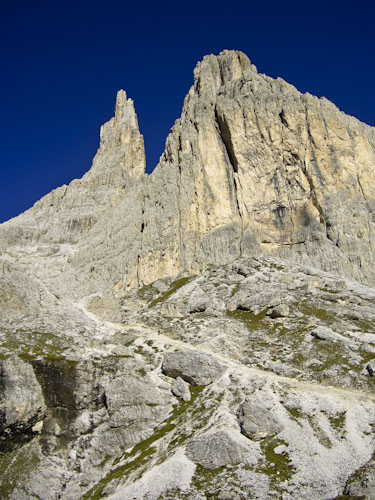 Rosengarten10_CIMG3760