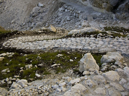 Rosengarten10_CIMG3783