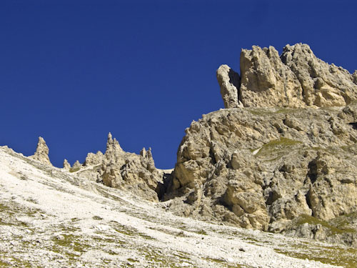 Rosengarten10_CIMG3800
