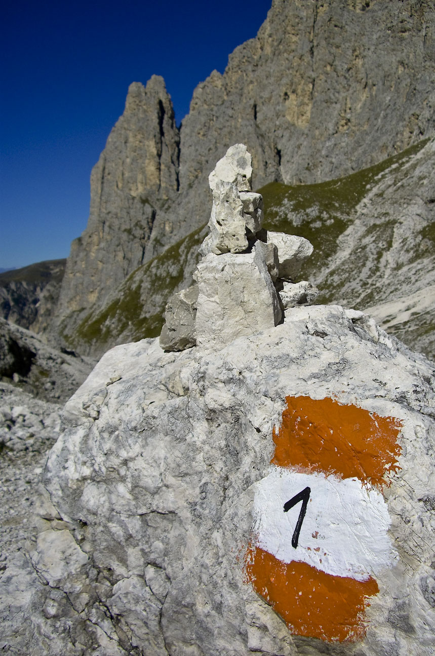 Rosengarten10_CIMG3816