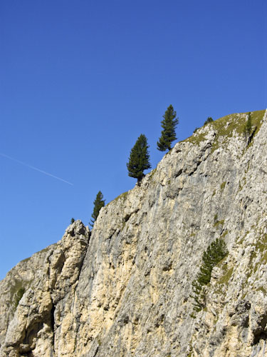 Rosengarten10_CIMG3842