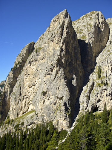 Rosengarten10_CIMG3850