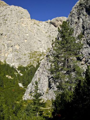 Rosengarten10_CIMG3852