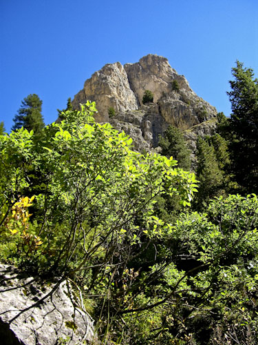 Rosengarten10_CIMG3865