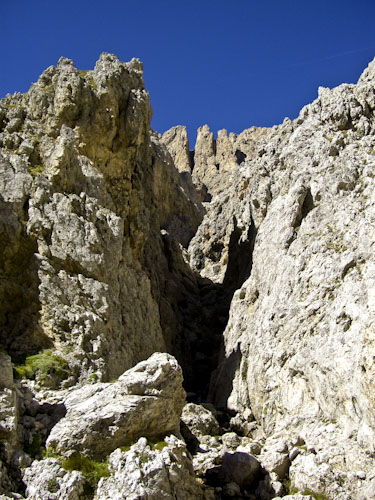 Rosengarten10_CIMG3886