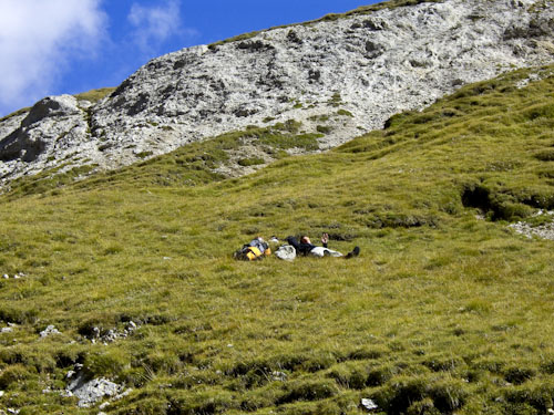 Rosengarten10_CIMG3899