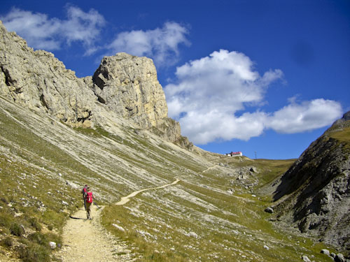 Rosengarten10_CIMG3901