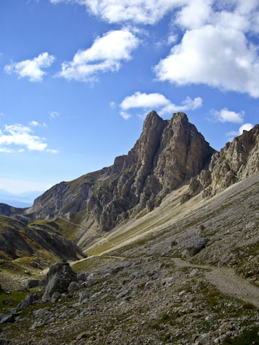 Rosengarten10_CIMG3904
