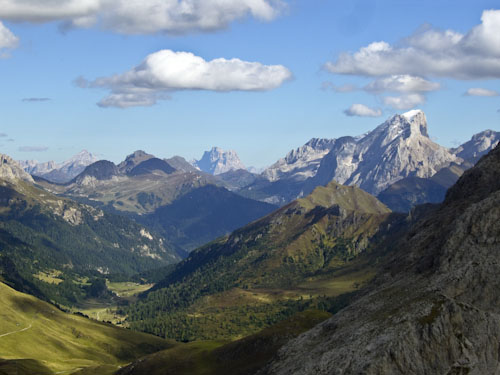 Rosengarten10_CIMG3912
