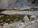 Rosengarten10_CIMG3783