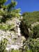 Rosengarten10_CIMG3866
