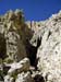 Rosengarten10_CIMG3886