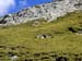 Rosengarten10_CIMG3899