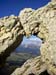 Rosengarten10_CIMG3991