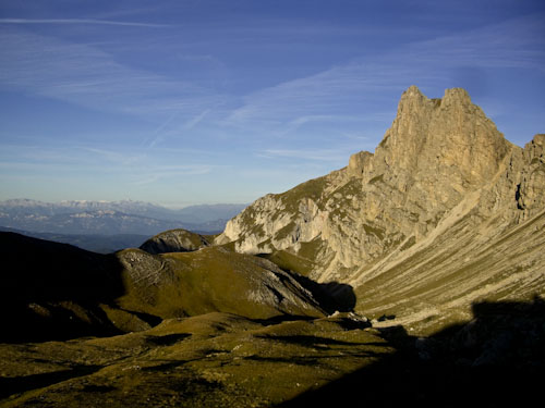 Rosengarten10_CIMG4094
