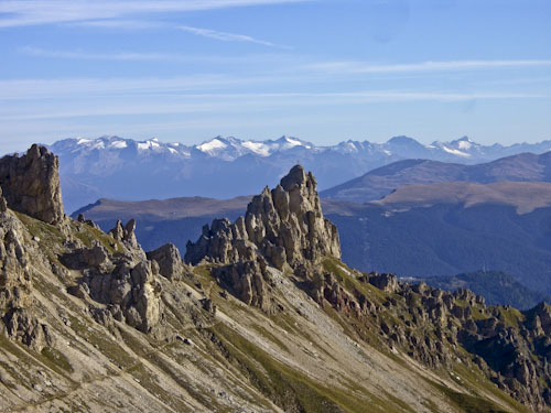 Rosengarten10_CIMG4122
