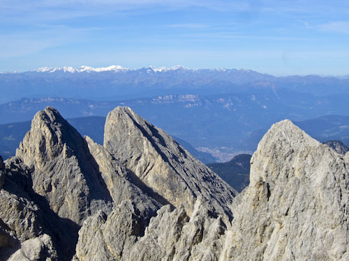 Rosengarten10_CIMG4161