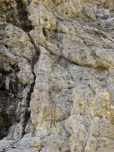Rosengarten10_CIMG4263