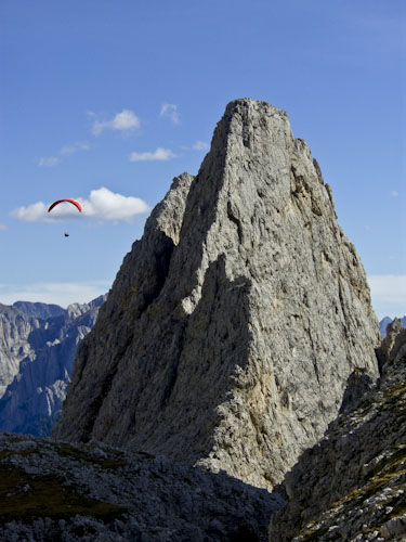 Rosengarten10_CIMG4369