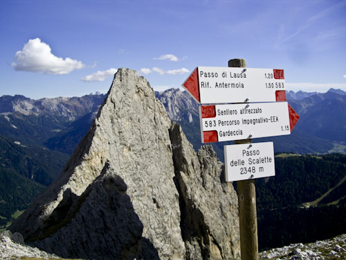 Rosengarten10_CIMG4374