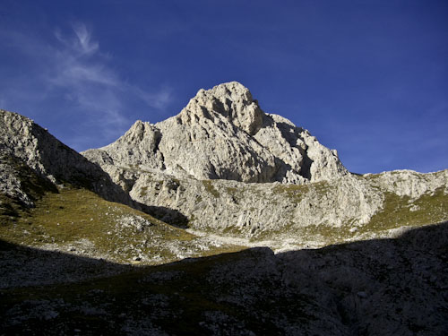 Rosengarten10_CIMG4386